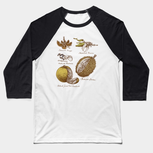 Clockwork Fruit Baseball T-Shirt by ANTICLOTHESdotCOM